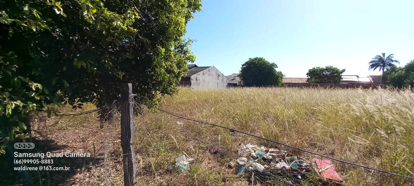 Foto 2 de Terreno / Lote à venda, 600m2 em Sorriso - MT