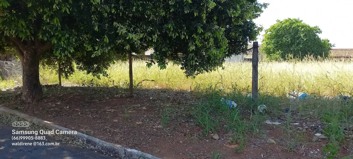 Foto 1 de Terreno / Lote à venda, 600m2 em Sorriso - MT