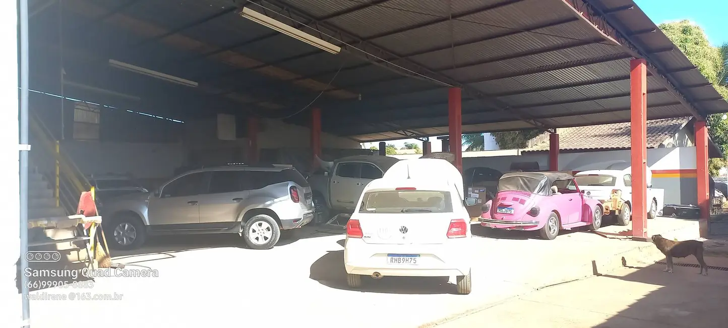 Sala Comercial à venda e para alugar, 2750000m2 em Sorriso - MT - imagem 5 Foto 5 de Sala Comercial à venda e para alugar, 2750000m2 em Sorriso - MT