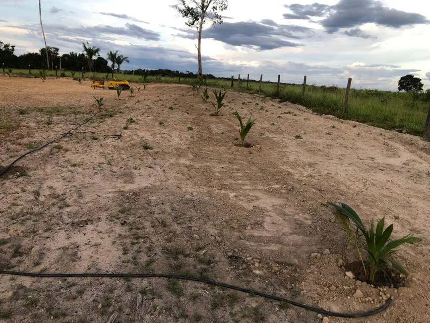 Chácara com 2 quartos à venda, 34m2 em Itanhanga - MT - imagem 9 Foto 9 de Chácara com 2 quartos à venda, 34m2 em Itanhanga - MT