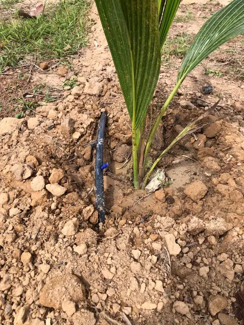 Chácara com 2 quartos à venda, 34m2 em Itanhanga - MT - imagem 6 Foto 6 de Chácara com 2 quartos à venda, 34m2 em Itanhanga - MT