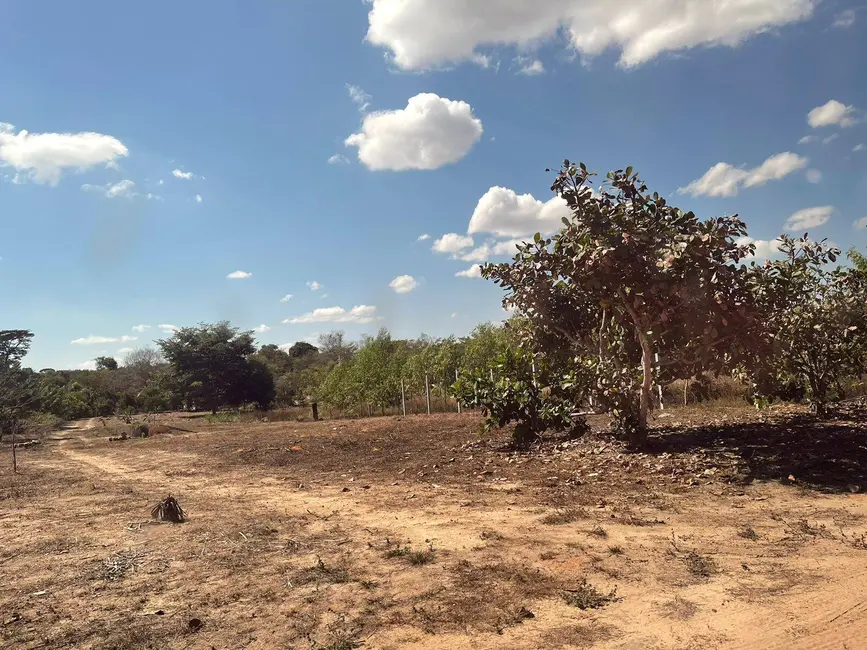 Chácara com 2 quartos à venda, 47000m2 em Sorriso - MT - imagem 5 Foto 5 de Chácara com 2 quartos à venda, 47000m2 em Sorriso - MT