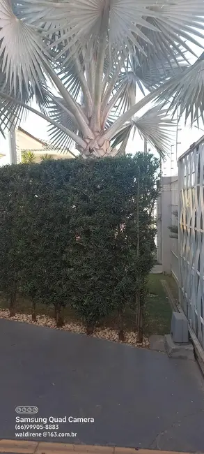 Casa com 4 quartos à venda, 1530m2 em Sorriso - MT - imagem 4 Foto 4 de Casa com 4 quartos à venda, 1530m2 em Sorriso - MT