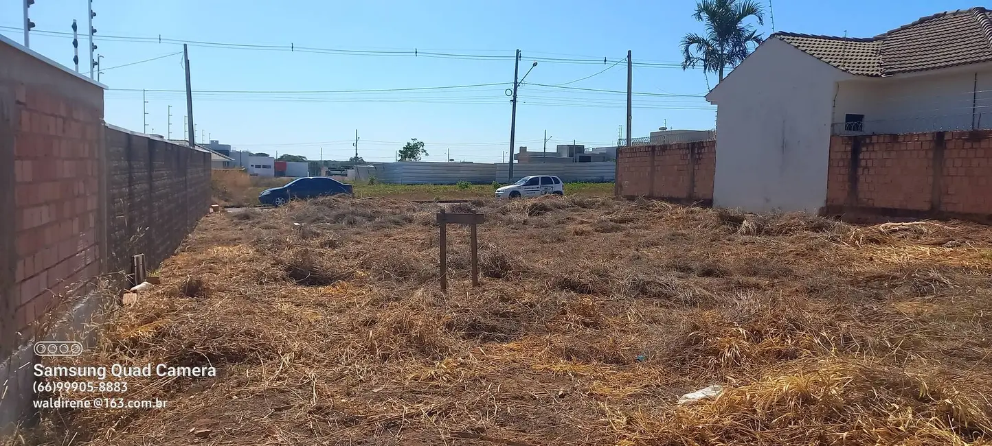 Foto 3 de Terreno / Lote à venda, 405m2 em Sorriso - MT