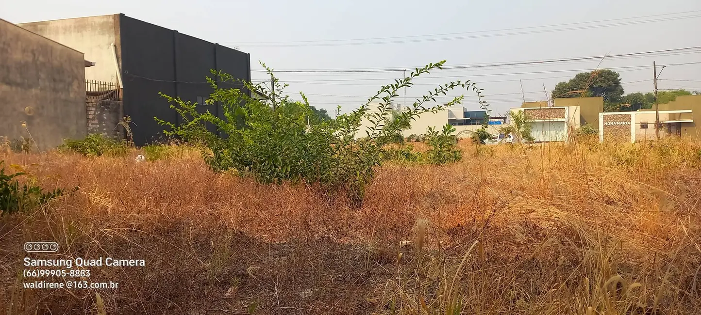 Foto 4 de Terreno / Lote à venda, 499m2 em Sorriso - MT