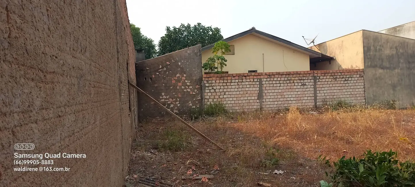 Foto 3 de Terreno / Lote à venda, 499m2 em Sorriso - MT