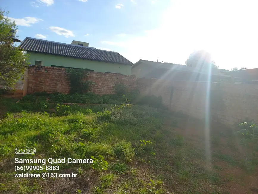 Casa à venda, 527m2 em Sorriso - MT - imagem 5 Foto 5 de Casa à venda, 527m2 em Sorriso - MT