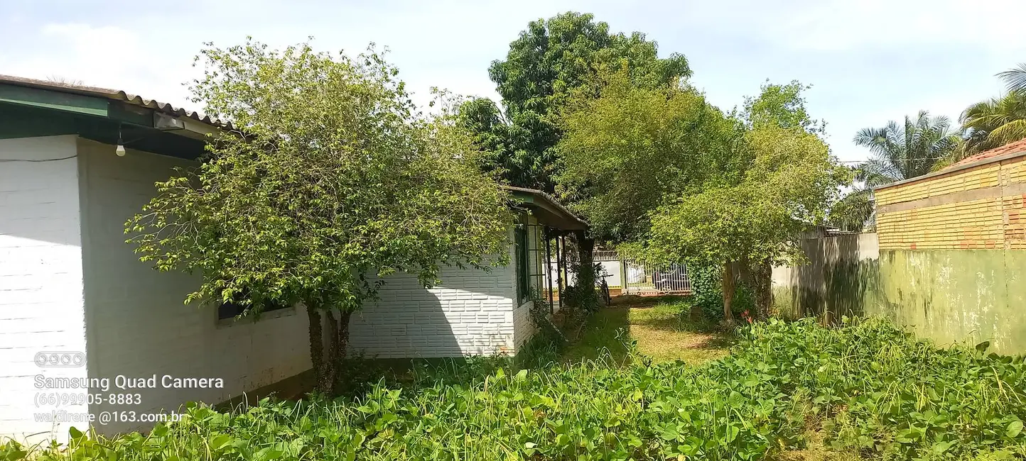 Foto 6 de Terreno / Lote à venda, 2040m2 em Sorriso - MT