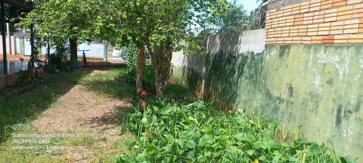 Foto 8 de Terreno / Lote à venda, 2040m2 em Sorriso - MT