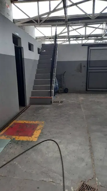 Foto 3 de Armazém / Galpão para alugar, 600m2 em Chácara Belenzinho, São Paulo - SP
