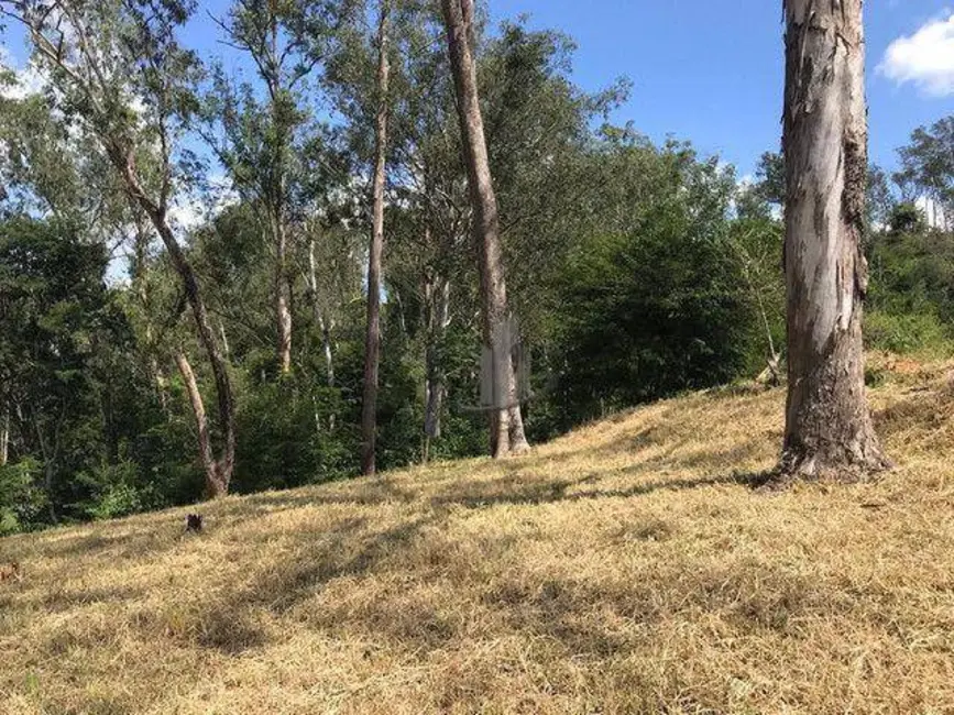 Terreno / Lote à venda, 1150m2 em Colônia Santo Antônio, Barra Mansa - RJ - imagem 3 Foto 3 de Terreno / Lote à venda, 1150m2 em Colônia Santo Antônio, Barra Mansa - RJ