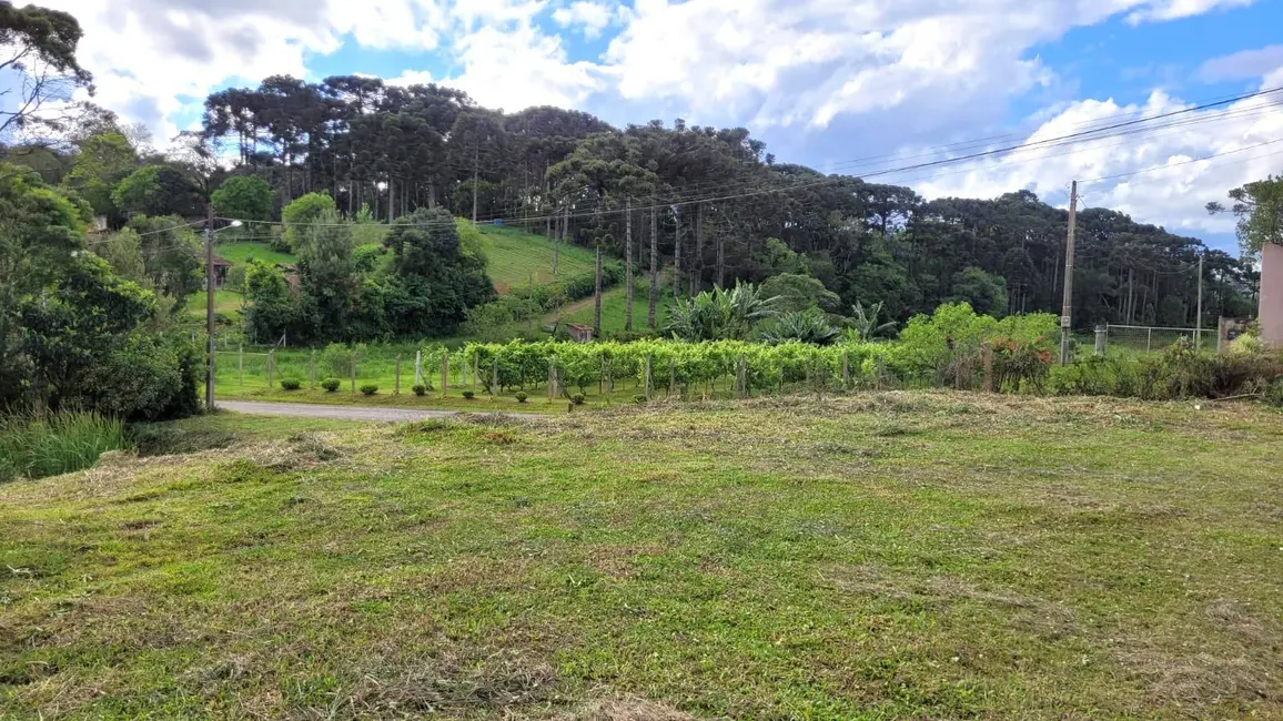 Terreno / Lote à venda, 1115m2 em Mato Preto, Sao Bento Do Sul - SC - imagem 7 Foto 7 de Terreno / Lote à venda, 1115m2 em Mato Preto, Sao Bento Do Sul - SC