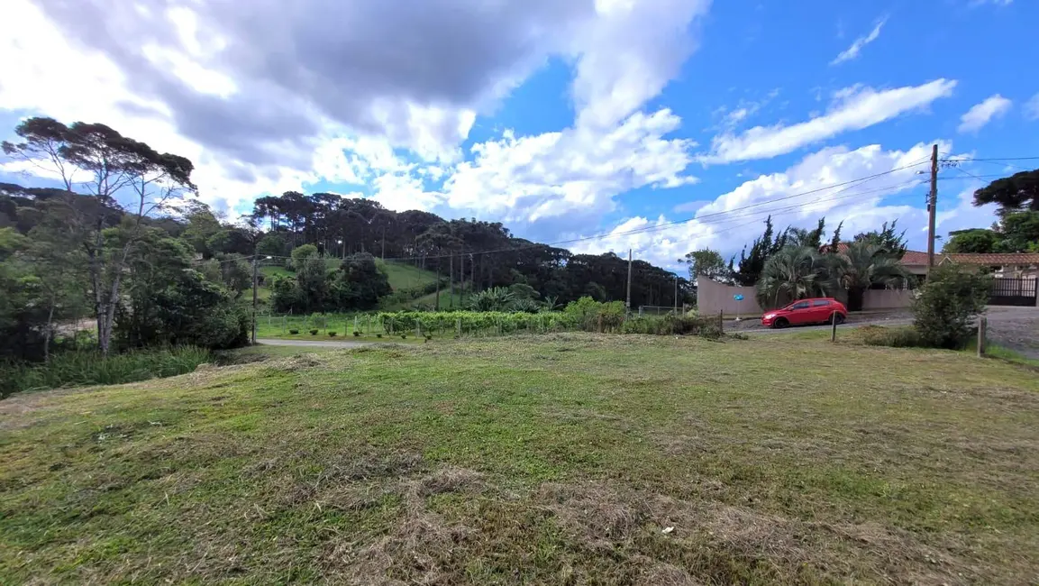 Terreno / Lote à venda, 1115m2 em Mato Preto, Sao Bento Do Sul - SC - imagem 6 Foto 6 de Terreno / Lote à venda, 1115m2 em Mato Preto, Sao Bento Do Sul - SC