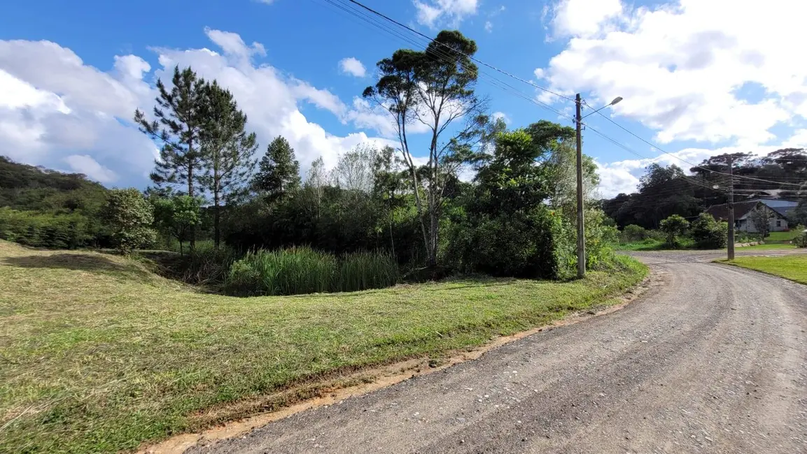Terreno / Lote à venda, 1115m2 em Mato Preto, Sao Bento Do Sul - SC - imagem 3 Foto 3 de Terreno / Lote à venda, 1115m2 em Mato Preto, Sao Bento Do Sul - SC