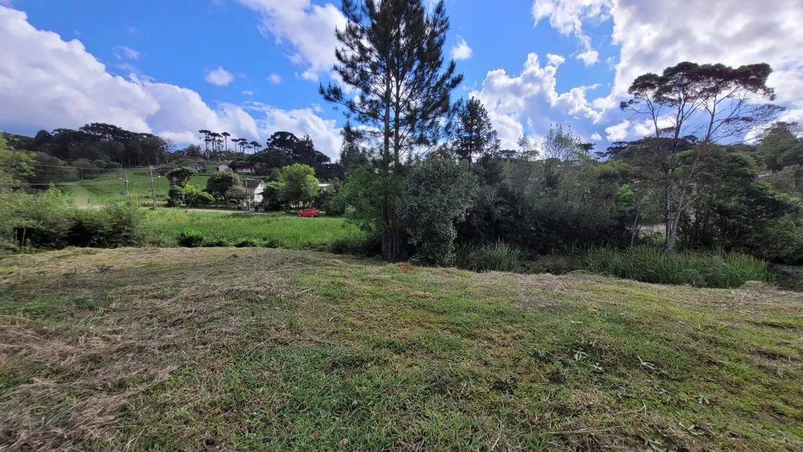 Terreno / Lote à venda, 1115m2 em Mato Preto, Sao Bento Do Sul - SC - imagem 5 Foto 5 de Terreno / Lote à venda, 1115m2 em Mato Preto, Sao Bento Do Sul - SC