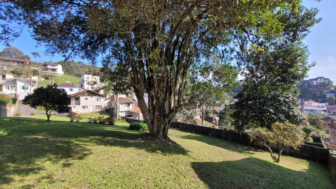 Terreno / Lote à venda, 1200m2 em Centro, Sao Bento Do Sul - SC - imagem 4 Foto 4 de Terreno / Lote à venda, 1200m2 em Centro, Sao Bento Do Sul - SC