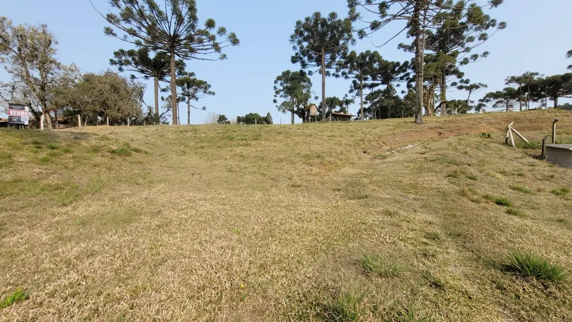 Foto 4 de Terreno / Lote à venda, 480m2 em Centenário, Sao Bento Do Sul - SC
