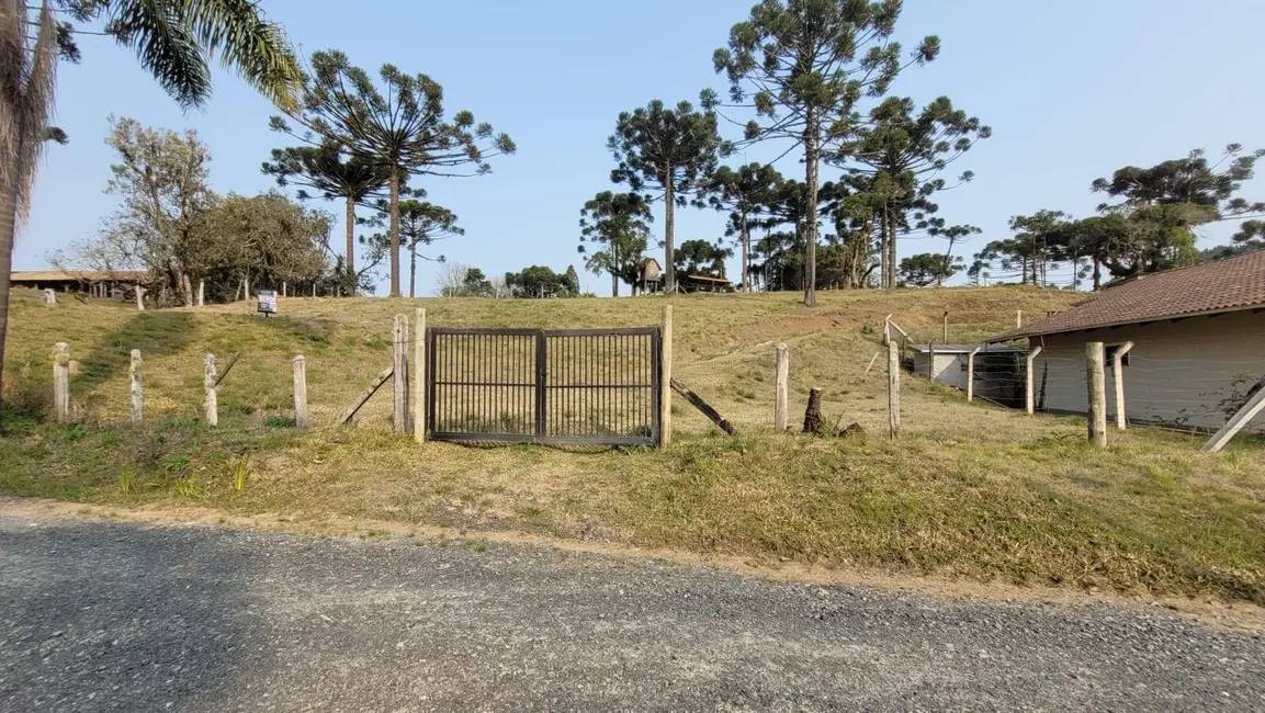 Foto 3 de Terreno / Lote à venda, 480m2 em Centenário, Sao Bento Do Sul - SC