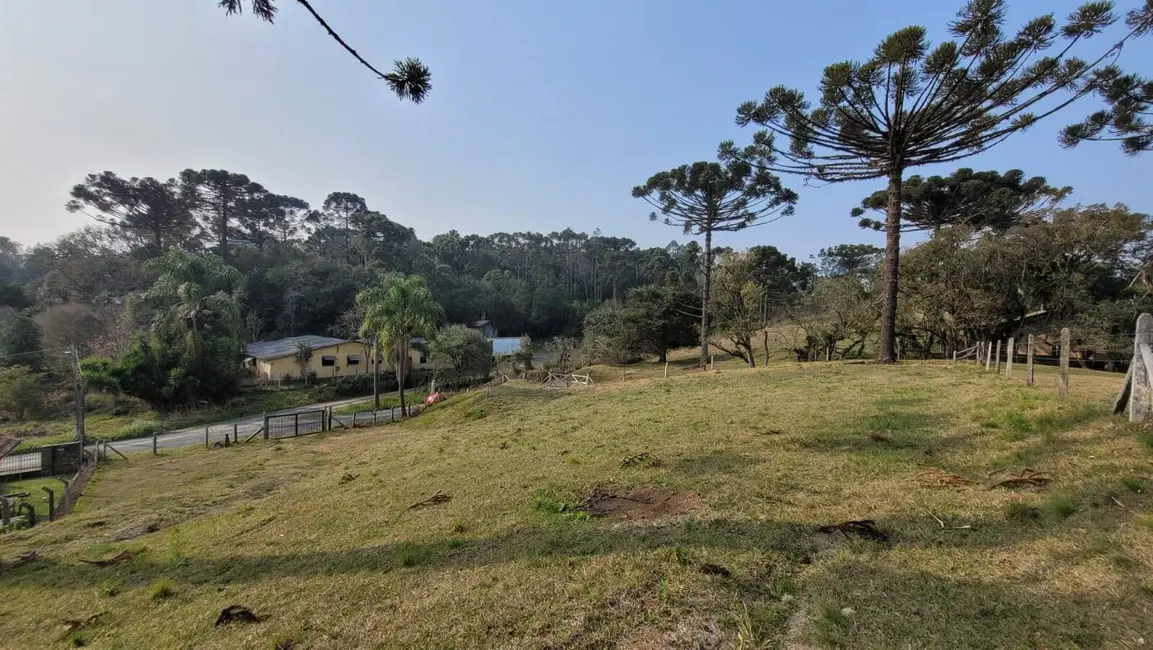 Foto 6 de Terreno / Lote à venda, 480m2 em Centenário, Sao Bento Do Sul - SC