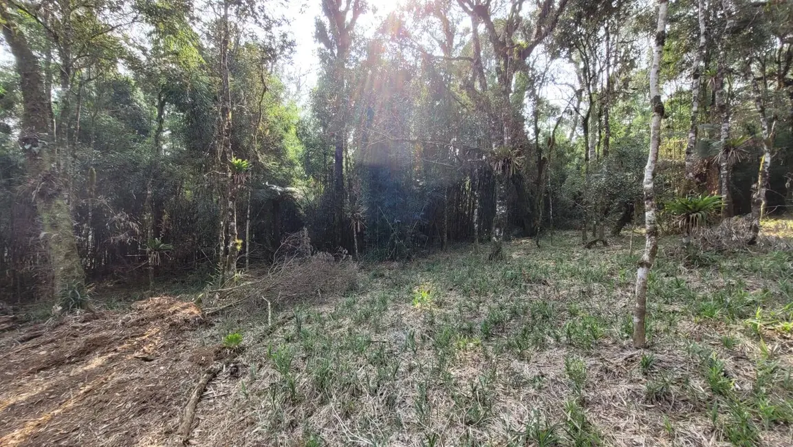 Terreno / Lote à venda, 3000m2 em Centenário, Sao Bento Do Sul - SC - imagem 5 Foto 5 de Terreno / Lote à venda, 3000m2 em Centenário, Sao Bento Do Sul - SC