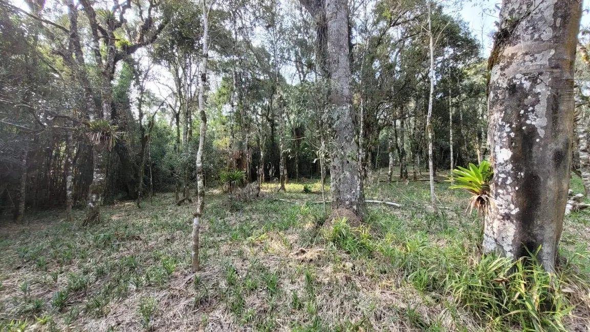 Terreno / Lote à venda, 3000m2 em Centenário, Sao Bento Do Sul - SC - imagem 4 Foto 4 de Terreno / Lote à venda, 3000m2 em Centenário, Sao Bento Do Sul - SC