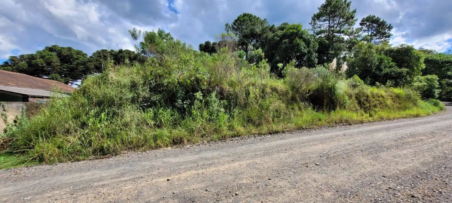 Foto 2 de Terreno / Lote à venda, 23510m2 em Colonial, Sao Bento Do Sul - SC