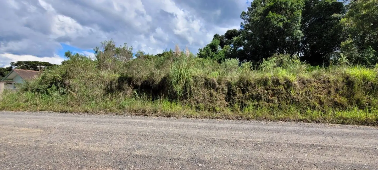 Foto 1 de Terreno / Lote à venda, 23510m2 em Colonial, Sao Bento Do Sul - SC