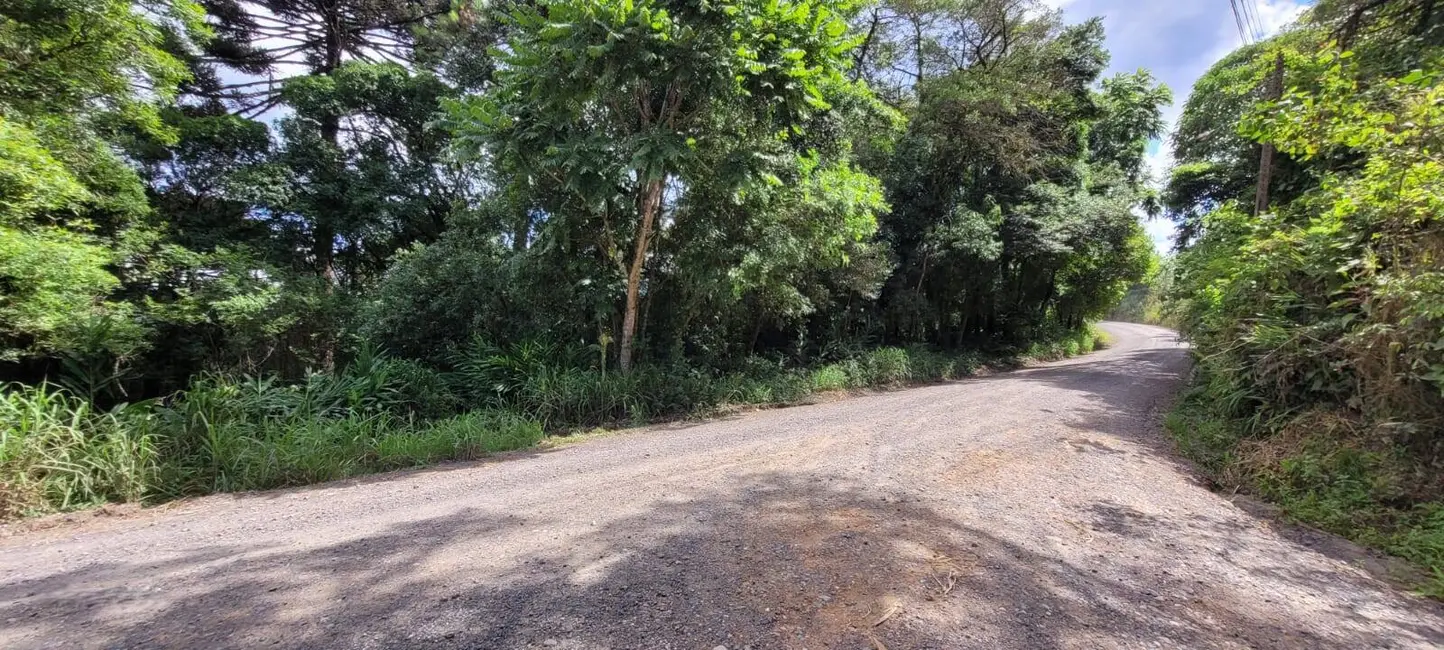 Terreno / Lote à venda, 23510m2 em Colonial, Sao Bento Do Sul - SC - imagem 7 Foto 7 de Terreno / Lote à venda, 23510m2 em Colonial, Sao Bento Do Sul - SC