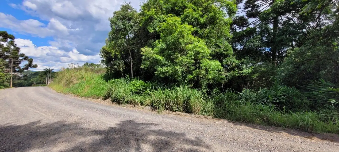 Terreno / Lote à venda, 23510m2 em Colonial, Sao Bento Do Sul - SC - imagem 9 Foto 9 de Terreno / Lote à venda, 23510m2 em Colonial, Sao Bento Do Sul - SC