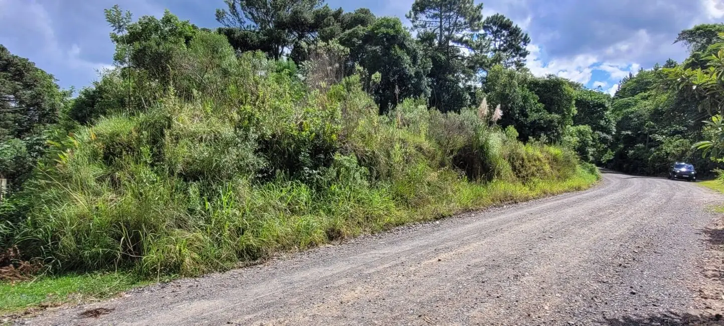 Terreno / Lote à venda, 23510m2 em Colonial, Sao Bento Do Sul - SC - imagem 6 Foto 6 de Terreno / Lote à venda, 23510m2 em Colonial, Sao Bento Do Sul - SC