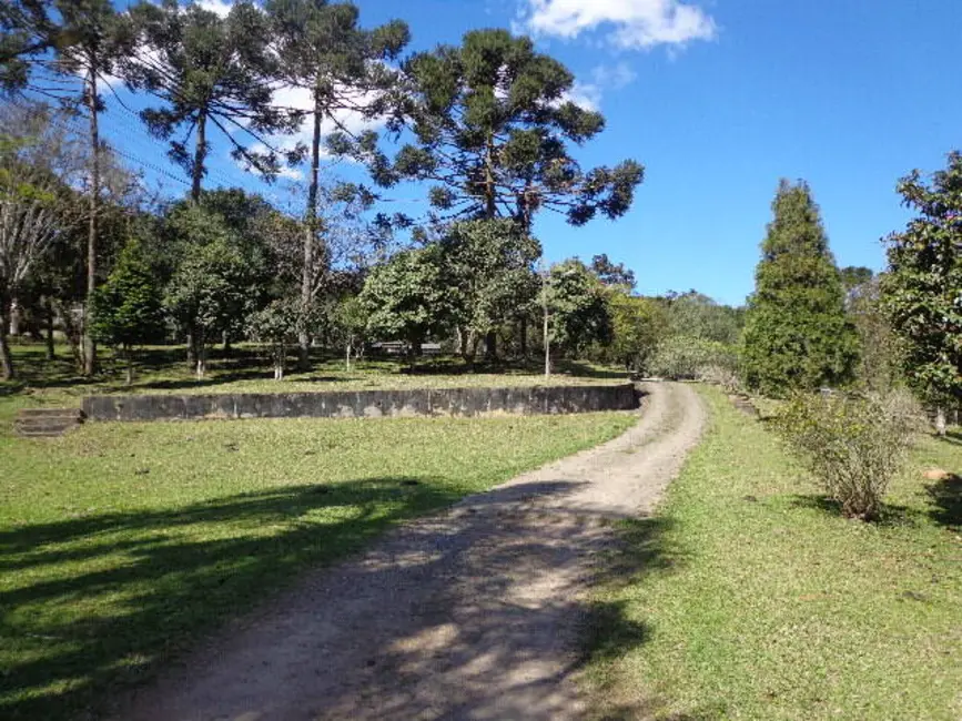 Foto 6 de Casa com 5 quartos à venda, 28744m2 em Cruzeiro, Sao Bento Do Sul - SC