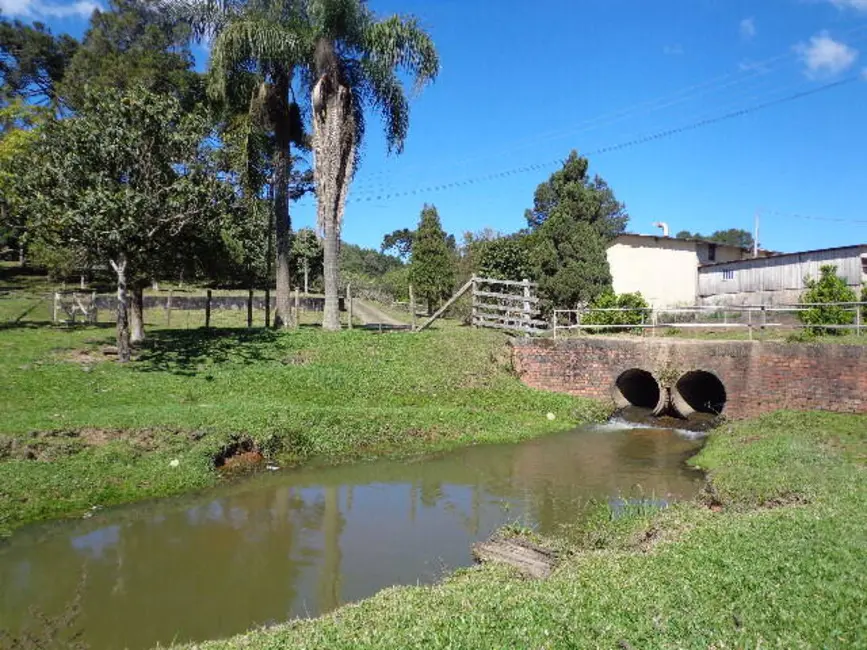 Foto 4 de Casa com 5 quartos à venda, 28744m2 em Cruzeiro, Sao Bento Do Sul - SC