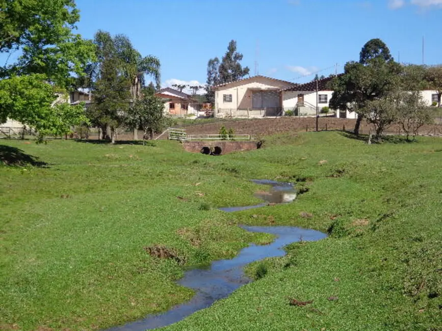 Foto 3 de Casa com 5 quartos à venda, 28744m2 em Cruzeiro, Sao Bento Do Sul - SC