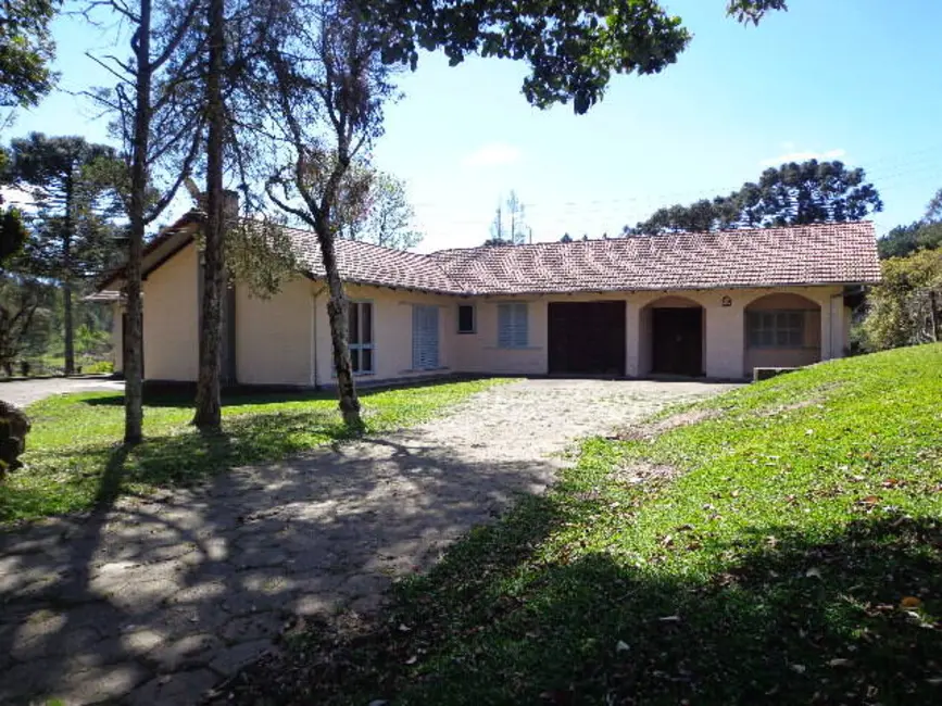 Foto 9 de Casa com 5 quartos à venda, 28744m2 em Cruzeiro, Sao Bento Do Sul - SC