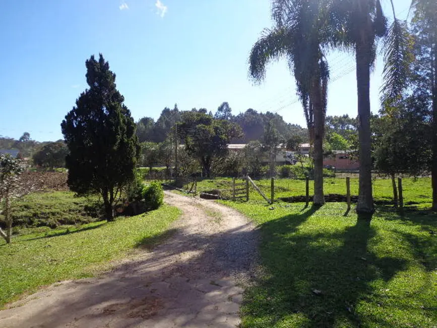 Foto 7 de Casa com 5 quartos à venda, 28744m2 em Cruzeiro, Sao Bento Do Sul - SC