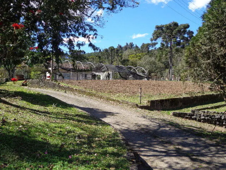 Foto 8 de Casa com 5 quartos à venda, 28744m2 em Cruzeiro, Sao Bento Do Sul - SC