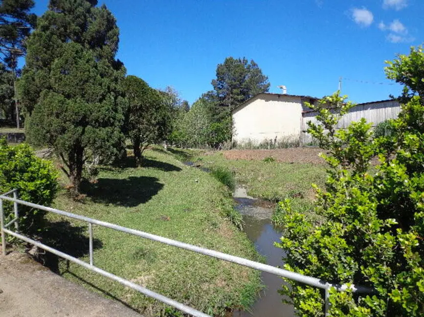 Foto 5 de Casa com 5 quartos à venda, 28744m2 em Cruzeiro, Sao Bento Do Sul - SC