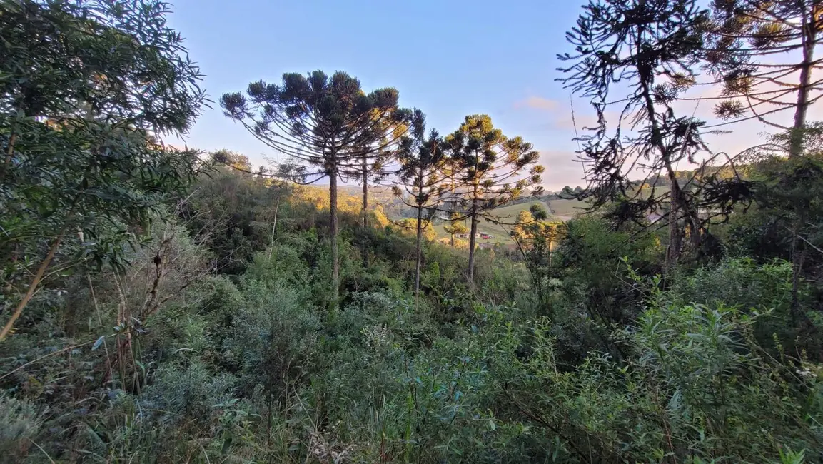 Foto 9 de Terreno / Lote à venda, 20000m2 em Rio Vermelho Povoado, Sao Bento Do Sul - SC