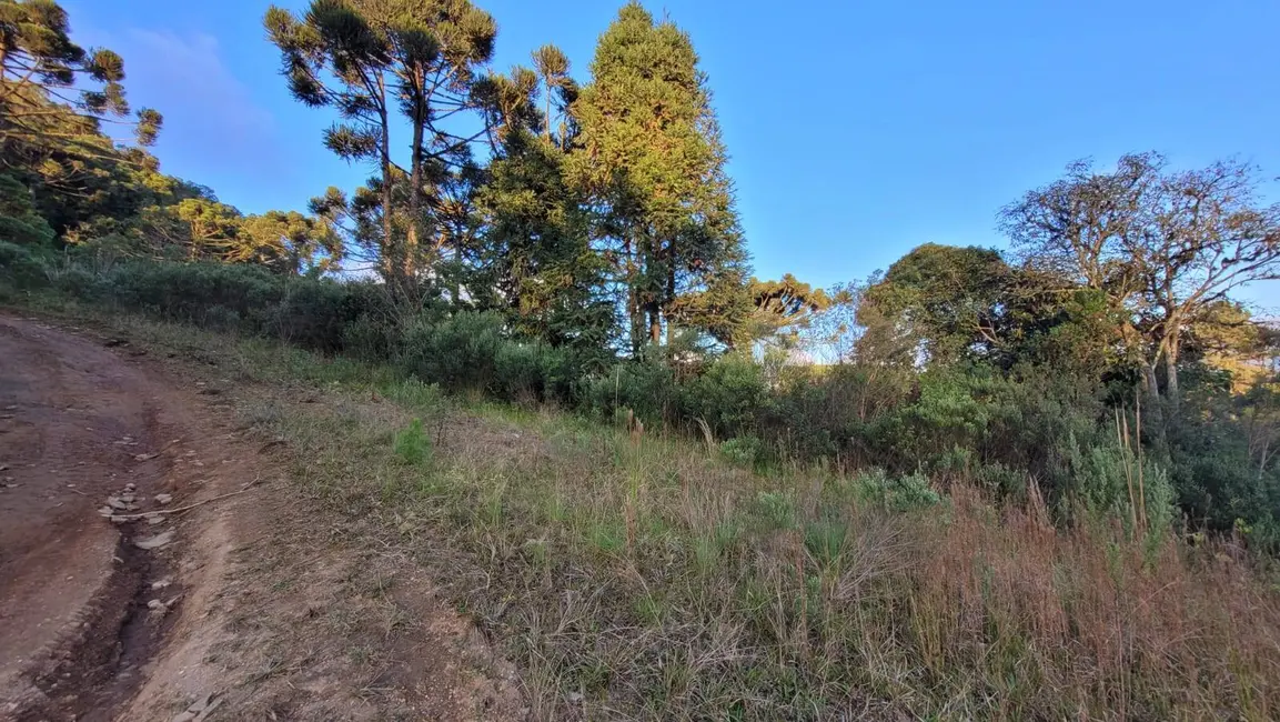 Foto 6 de Terreno / Lote à venda, 20000m2 em Rio Vermelho Povoado, Sao Bento Do Sul - SC