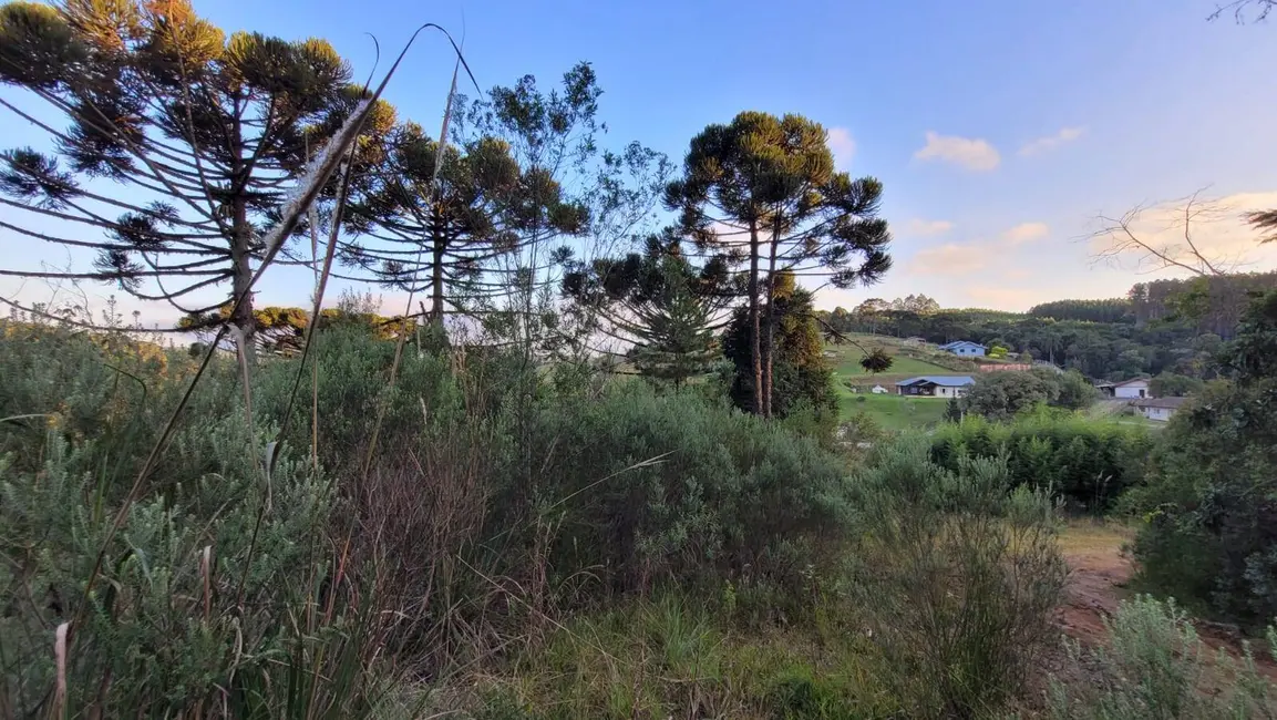 Foto 8 de Terreno / Lote à venda, 20000m2 em Rio Vermelho Povoado, Sao Bento Do Sul - SC