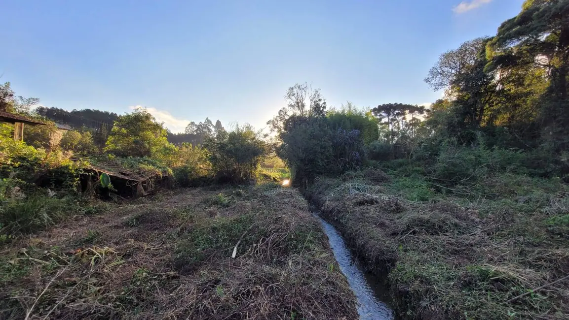 Foto 5 de Terreno / Lote à venda, 20000m2 em Rio Vermelho Povoado, Sao Bento Do Sul - SC