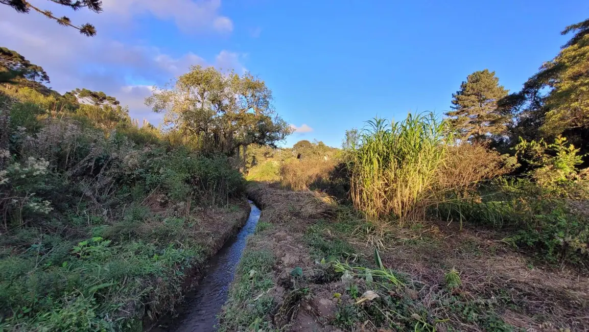 Foto 4 de Terreno / Lote à venda, 20000m2 em Rio Vermelho Povoado, Sao Bento Do Sul - SC