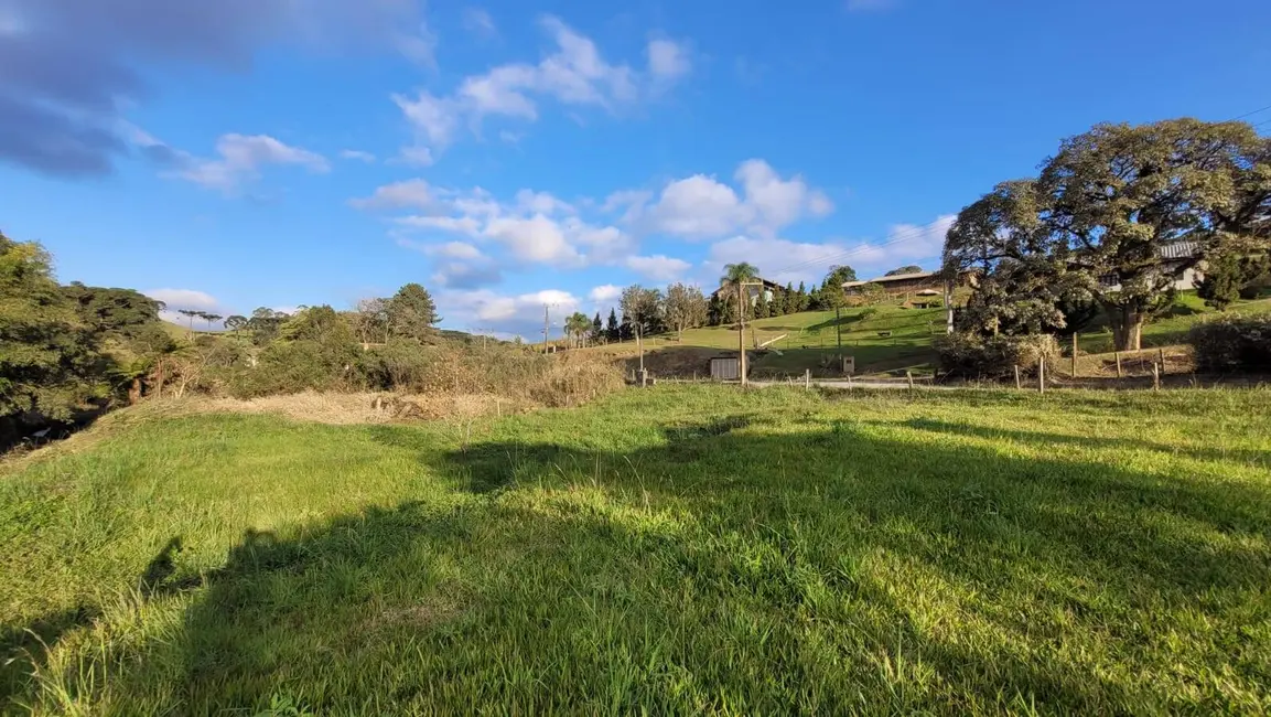 Foto 3 de Terreno / Lote à venda, 20000m2 em Rio Vermelho Povoado, Sao Bento Do Sul - SC