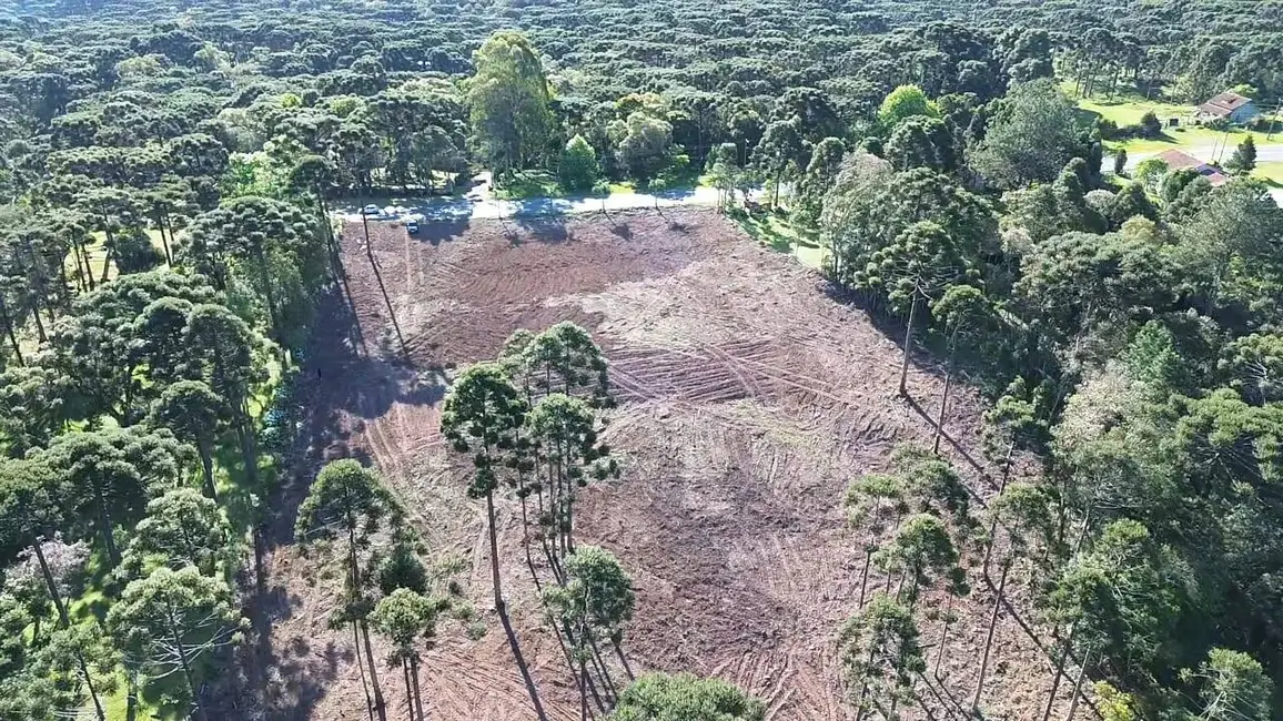 Foto 5 de Terreno / Lote à venda, 20000m2 em Campo Alegre - SC