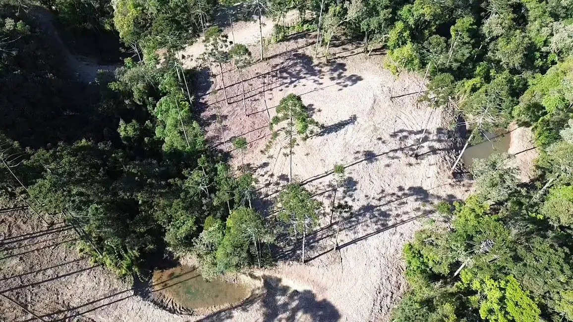 Foto 9 de Terreno / Lote à venda, 20000m2 em Campo Alegre - SC