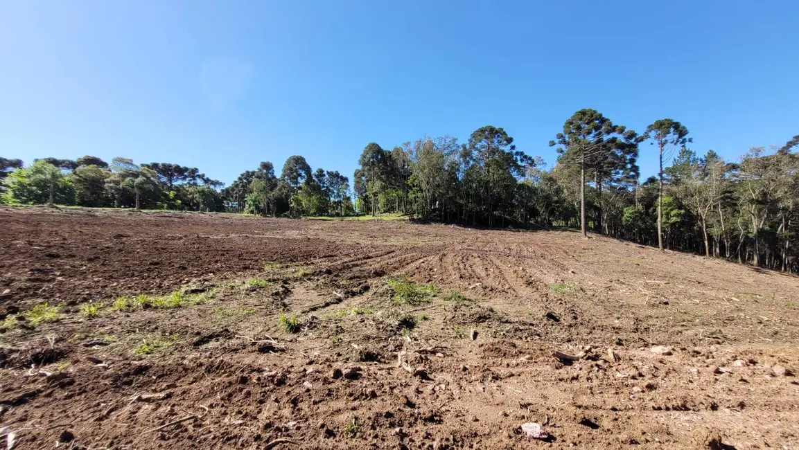 Foto 3 de Terreno / Lote à venda, 20000m2 em Campo Alegre - SC
