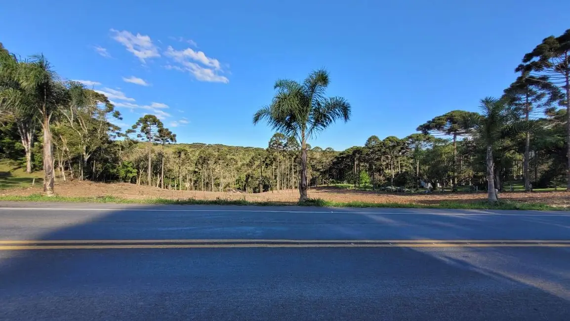 Foto 1 de Terreno / Lote à venda, 20000m2 em Campo Alegre - SC