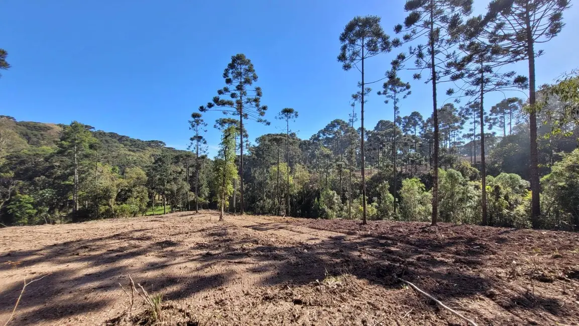 Foto 8 de Terreno / Lote à venda, 20000m2 em Campo Alegre - SC