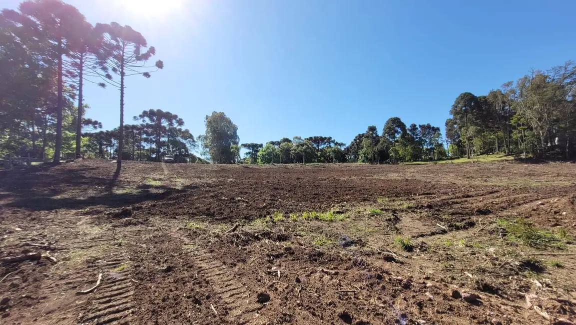 Foto 4 de Terreno / Lote à venda, 20000m2 em Campo Alegre - SC