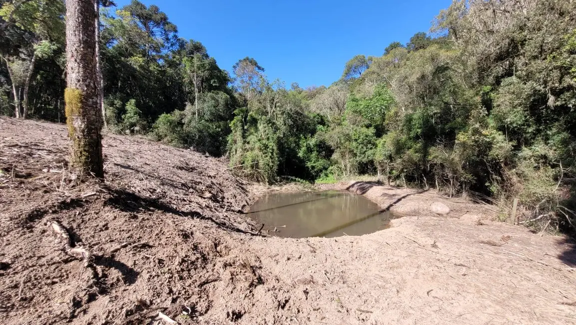 Foto 7 de Terreno / Lote à venda, 20000m2 em Campo Alegre - SC